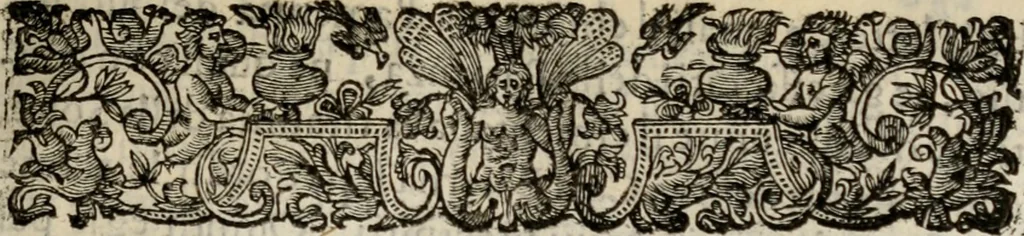 An illustration from Le glorie de gli incogniti : O vero gli hvomini illvstri della̓ccademia de ̓signori incogniti di venetia, 1647, leaf 172