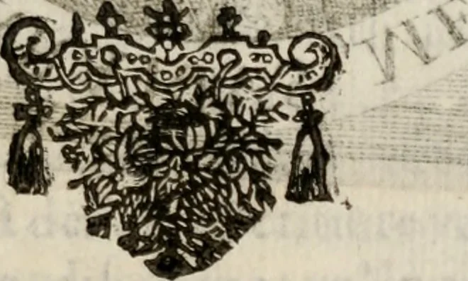 An illustration from Le glorie de gli incogniti : O vero gli hvomini illvstri della̓ccademia de ̓signori incogniti di venetia, 1647, leaf 174