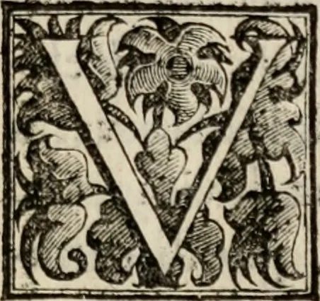 An illustration from Le glorie de gli incogniti : O vero gli hvomini illvstri della̓ccademia de ̓signori incogniti di venetia, 1647, leaf 176