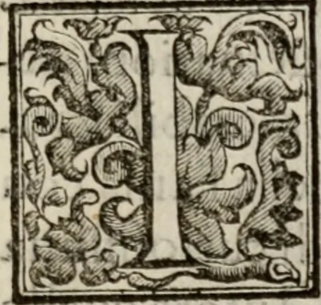 An illustration from Le glorie de gli incogniti : O vero gli hvomini illvstri della̓ccademia de ̓signori incogniti di venetia, 1647, leaf 180
