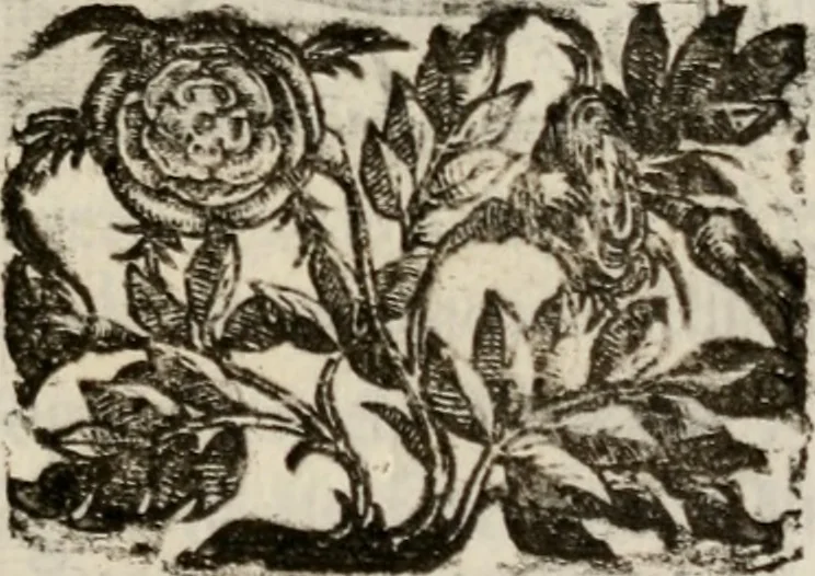 An illustration from Le glorie de gli incogniti : O vero gli hvomini illvstri della̓ccademia de ̓signori incogniti di venetia, 1647, leaf 190