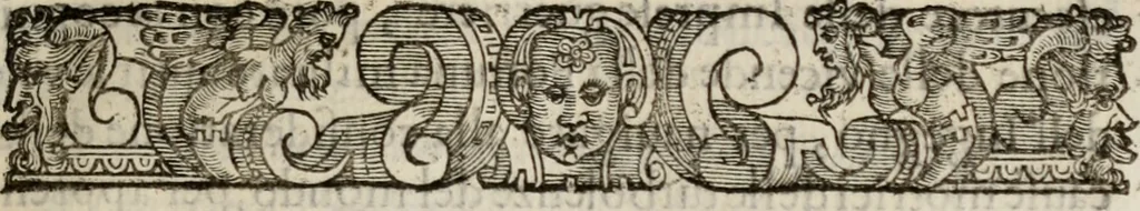 An illustration from Le glorie de gli incogniti : O vero gli hvomini illvstri della̓ccademia de ̓signori incogniti di venetia, 1647, leaf 192