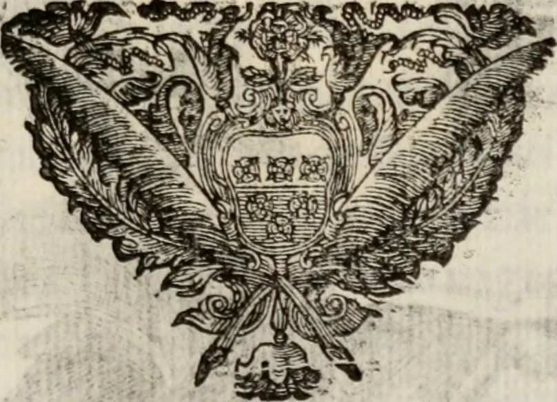 An illustration from Le glorie de gli incogniti : O vero gli hvomini illvstri della̓ccademia de ̓signori incogniti di venetia, 1647, leaf 198
