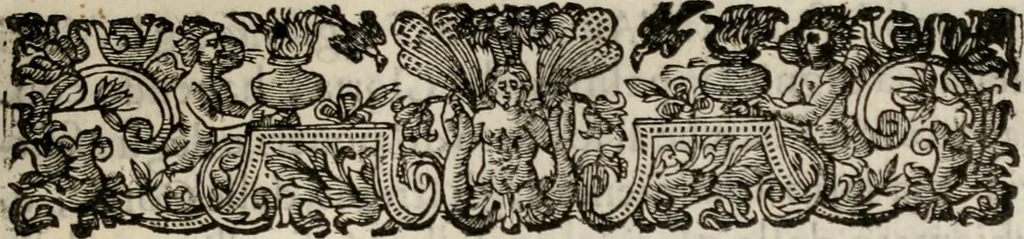 An illustration from Le glorie de gli incogniti : O vero gli hvomini illvstri della̓ccademia de ̓signori incogniti di venetia, 1647, leaf 204