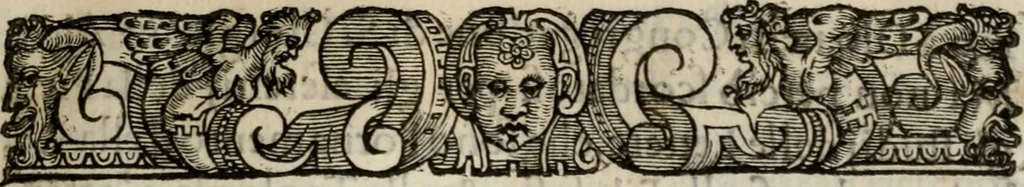 An illustration from Le glorie de gli incogniti : O vero gli hvomini illvstri della̓ccademia de ̓signori incogniti di venetia, 1647, leaf 208