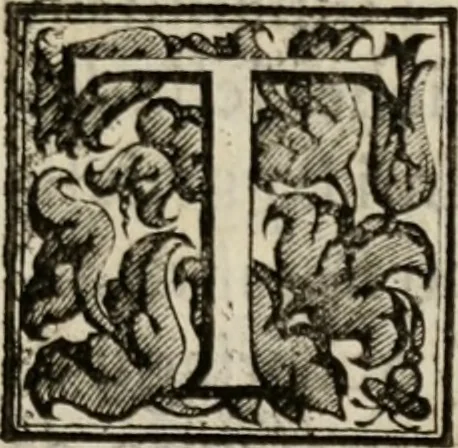 An illustration from Le glorie de gli incogniti : O vero gli hvomini illvstri della̓ccademia de ̓signori incogniti di venetia, 1647, leaf 208