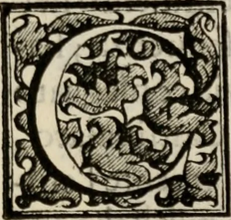 An illustration from Le glorie de gli incogniti : O vero gli hvomini illvstri della̓ccademia de ̓signori incogniti di venetia, 1647, leaf 212