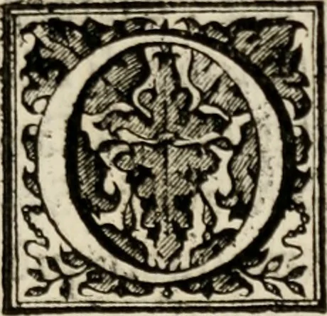 An illustration from Le glorie de gli incogniti : O vero gli hvomini illvstri della̓ccademia de ̓signori incogniti di venetia, 1647, leaf 216