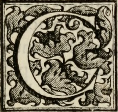 An illustration from Le glorie de gli incogniti : O vero gli hvomini illvstri della̓ccademia de ̓signori incogniti di venetia, 1647, leaf 220