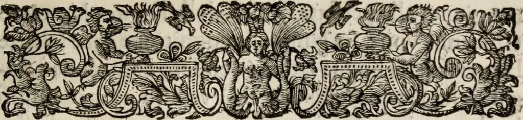 An illustration from Le glorie de gli incogniti : O vero gli hvomini illvstri della̓ccademia de ̓signori incogniti di venetia, 1647, leaf 224