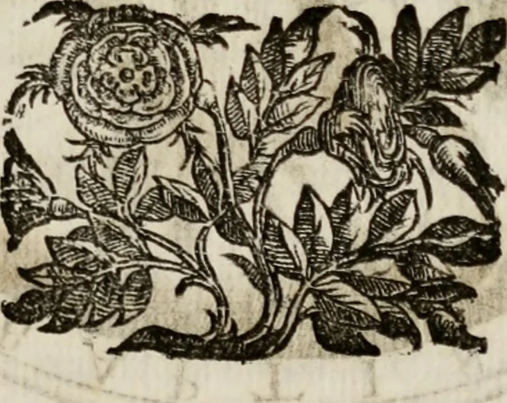 An illustration from Le glorie de gli incogniti : O vero gli hvomini illvstri della̓ccademia de ̓signori incogniti di venetia, 1647, leaf 226