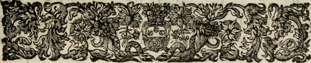 An illustration from Le glorie de gli incogniti : O vero gli hvomini illvstri della̓ccademia de ̓signori incogniti di venetia, 1647, leaf 228