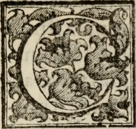 An illustration from Le glorie de gli incogniti : O vero gli hvomini illvstri della̓ccademia de ̓signori incogniti di venetia, 1647, leaf 236