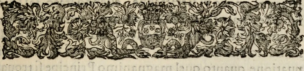An illustration from Le glorie de gli incogniti : O vero gli hvomini illvstri della̓ccademia de ̓signori incogniti di venetia, 1647, leaf 240