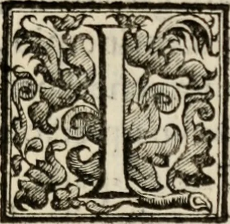 An illustration from Le glorie de gli incogniti : O vero gli hvomini illvstri della̓ccademia de ̓signori incogniti di venetia, 1647, leaf 240