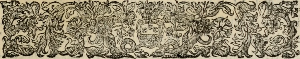 An illustration from Le glorie de gli incogniti : O vero gli hvomini illvstri della̓ccademia de ̓signori incogniti di venetia, 1647, leaf 248