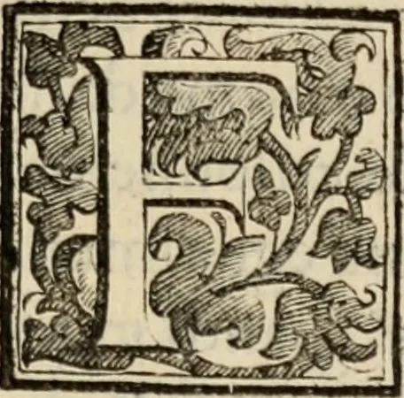 An illustration from Le glorie de gli incogniti : O vero gli hvomini illvstri della̓ccademia de ̓signori incogniti di venetia, 1647, leaf 248