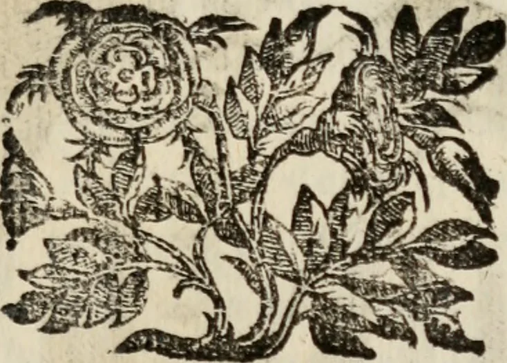 An illustration from Le glorie de gli incogniti : O vero gli hvomini illvstri della̓ccademia de ̓signori incogniti di venetia, 1647, leaf 250