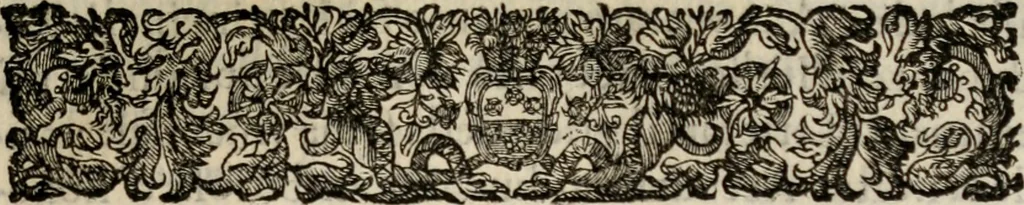 An illustration from Le glorie de gli incogniti : O vero gli hvomini illvstri della̓ccademia de ̓signori incogniti di venetia, 1647, leaf 252