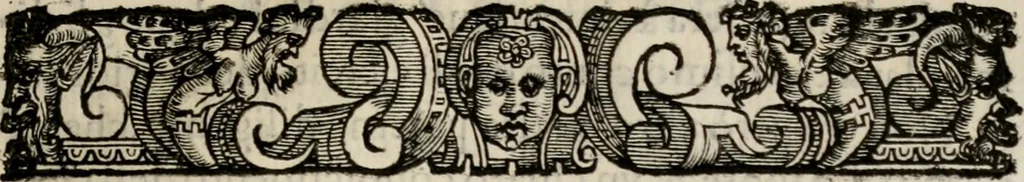 An illustration from Le glorie de gli incogniti : O vero gli hvomini illvstri della̓ccademia de ̓signori incogniti di venetia, 1647, leaf 256