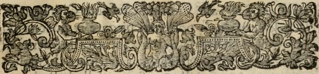An illustration from Le glorie de gli incogniti : O vero gli hvomini illvstri della̓ccademia de ̓signori incogniti di venetia, 1647, leaf 26