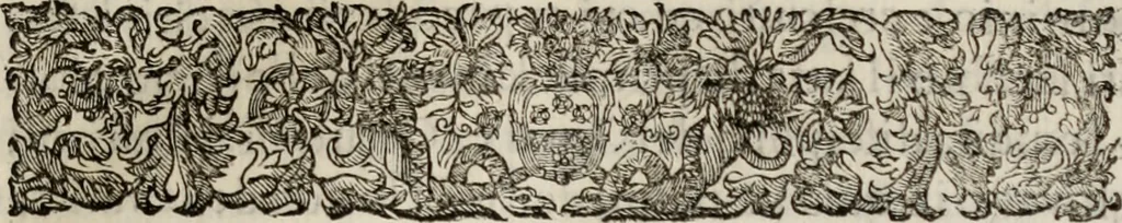 An illustration from Le glorie de gli incogniti : O vero gli hvomini illvstri della̓ccademia de ̓signori incogniti di venetia, 1647, leaf 264