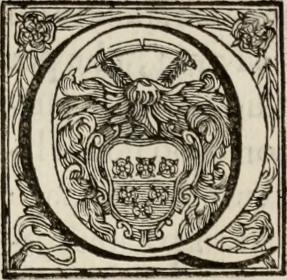 An illustration from Le glorie de gli incogniti : O vero gli hvomini illvstri della̓ccademia de ̓signori incogniti di venetia, 1647, leaf 264