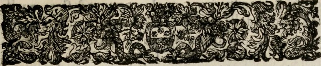 An illustration from Le glorie de gli incogniti : O vero gli hvomini illvstri della̓ccademia de ̓signori incogniti di venetia, 1647, leaf 268