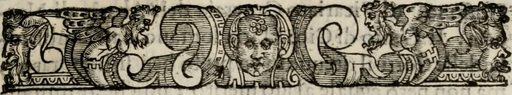 An illustration from Le glorie de gli incogniti : O vero gli hvomini illvstri della̓ccademia de ̓signori incogniti di venetia, 1647, leaf 272