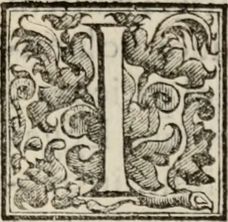An illustration from Le glorie de gli incogniti : O vero gli hvomini illvstri della̓ccademia de ̓signori incogniti di venetia, 1647, leaf 276