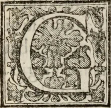 An illustration from Le glorie de gli incogniti : O vero gli hvomini illvstri della̓ccademia de ̓signori incogniti di venetia, 1647, leaf 280