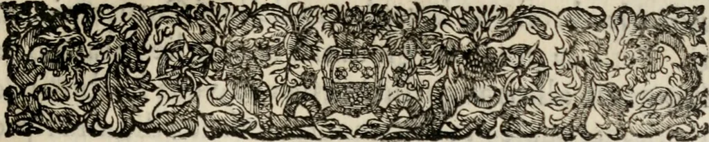 An illustration from Le glorie de gli incogniti : O vero gli hvomini illvstri della̓ccademia de ̓signori incogniti di venetia, 1647, leaf 288