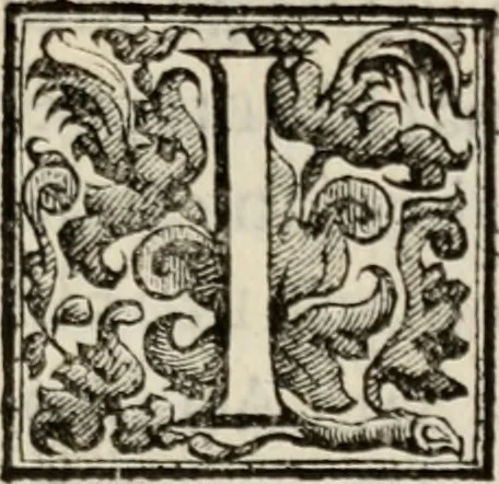 An illustration from Le glorie de gli incogniti : O vero gli hvomini illvstri della̓ccademia de ̓signori incogniti di venetia, 1647, leaf 288