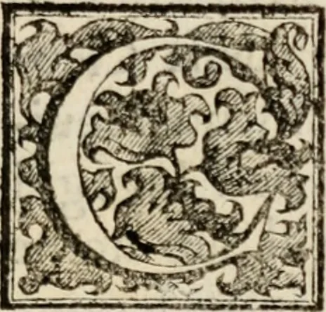 An illustration from Le glorie de gli incogniti : O vero gli hvomini illvstri della̓ccademia de ̓signori incogniti di venetia, 1647, leaf 292