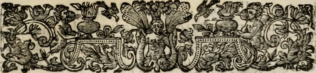 An illustration from Le glorie de gli incogniti : O vero gli hvomini illvstri della̓ccademia de ̓signori incogniti di venetia, 1647, leaf 296
