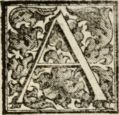 An illustration from Le glorie de gli incogniti : O vero gli hvomini illvstri della̓ccademia de ̓signori incogniti di venetia, 1647, leaf 296