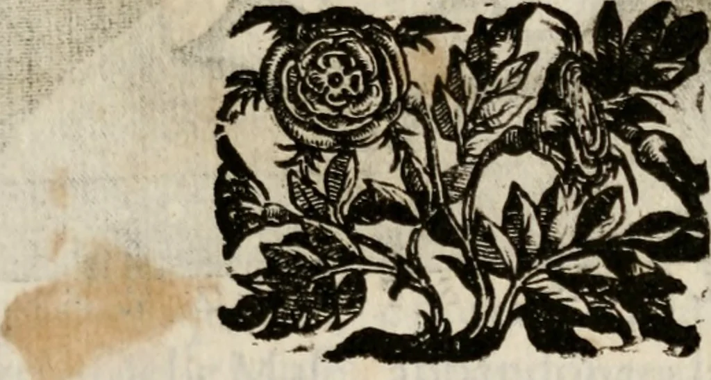 An illustration from Le glorie de gli incogniti : O vero gli hvomini illvstri della̓ccademia de ̓signori incogniti di venetia, 1647, leaf 298