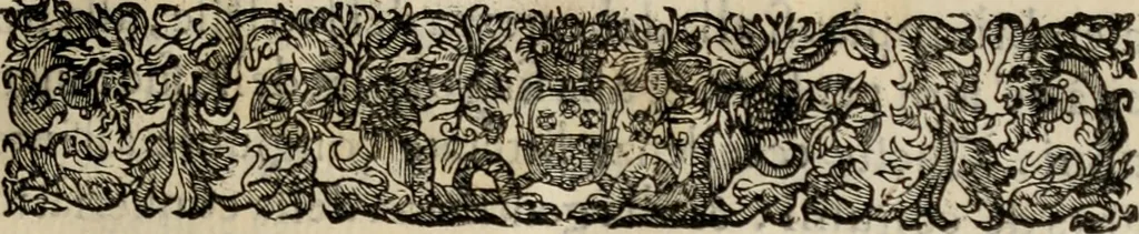 An illustration from Le glorie de gli incogniti : O vero gli hvomini illvstri della̓ccademia de ̓signori incogniti di venetia, 1647, leaf 30