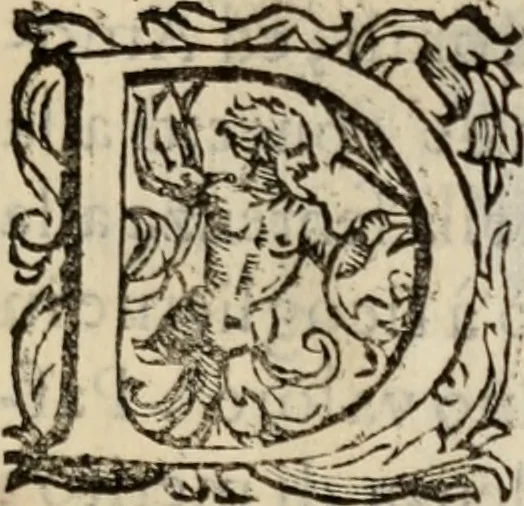 An illustration from Le glorie de gli incogniti : O vero gli hvomini illvstri della̓ccademia de ̓signori incogniti di venetia, 1647, leaf 30