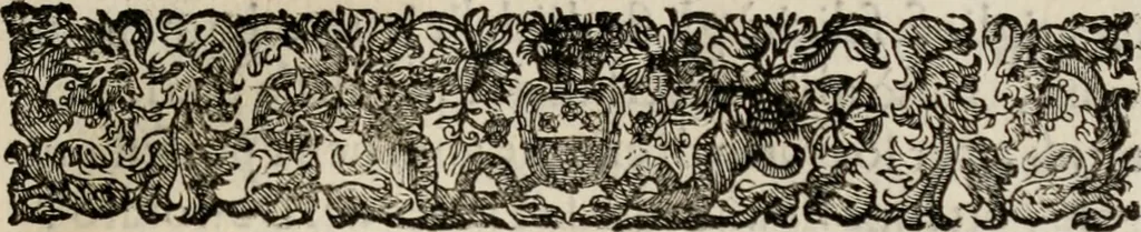 An illustration from Le glorie de gli incogniti : O vero gli hvomini illvstri della̓ccademia de ̓signori incogniti di venetia, 1647, leaf 304