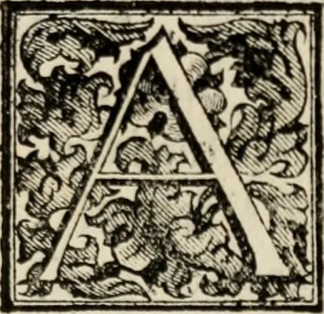 An illustration from Le glorie de gli incogniti : O vero gli hvomini illvstri della̓ccademia de ̓signori incogniti di venetia, 1647, leaf 304