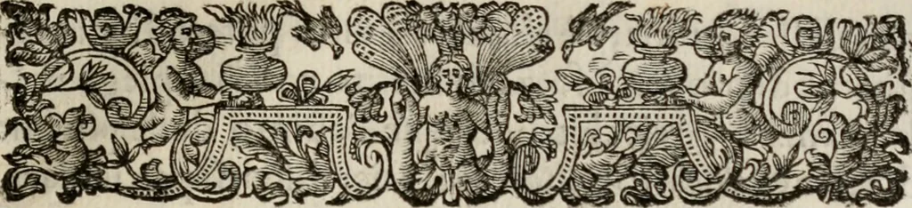 An illustration from Le glorie de gli incogniti : O vero gli hvomini illvstri della̓ccademia de ̓signori incogniti di venetia, 1647, leaf 308