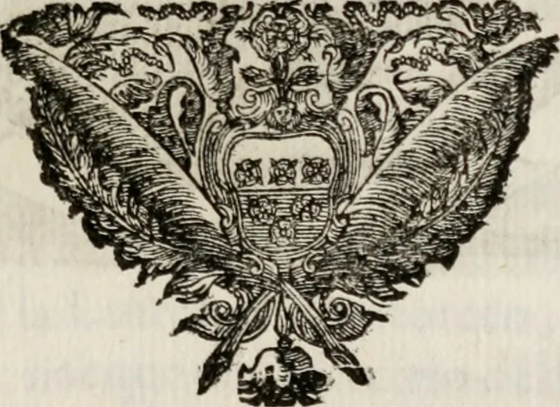 An illustration from Le glorie de gli incogniti : O vero gli hvomini illvstri della̓ccademia de ̓signori incogniti di venetia, 1647, leaf 310
