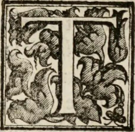 An illustration from Le glorie de gli incogniti : O vero gli hvomini illvstri della̓ccademia de ̓signori incogniti di venetia, 1647, leaf 312