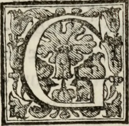 An illustration from Le glorie de gli incogniti : O vero gli hvomini illvstri della̓ccademia de ̓signori incogniti di venetia, 1647, leaf 316