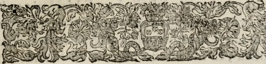 An illustration from Le glorie de gli incogniti : O vero gli hvomini illvstri della̓ccademia de ̓signori incogniti di venetia, 1647, leaf 320