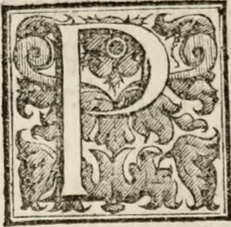 An illustration from Le glorie de gli incogniti : O vero gli hvomini illvstri della̓ccademia de ̓signori incogniti di venetia, 1647, leaf 320