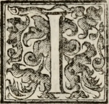An illustration from Le glorie de gli incogniti : O vero gli hvomini illvstri della̓ccademia de ̓signori incogniti di venetia, 1647, leaf 324