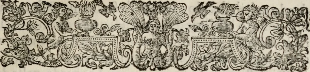An illustration from Le glorie de gli incogniti : O vero gli hvomini illvstri della̓ccademia de ̓signori incogniti di venetia, 1647, leaf 328