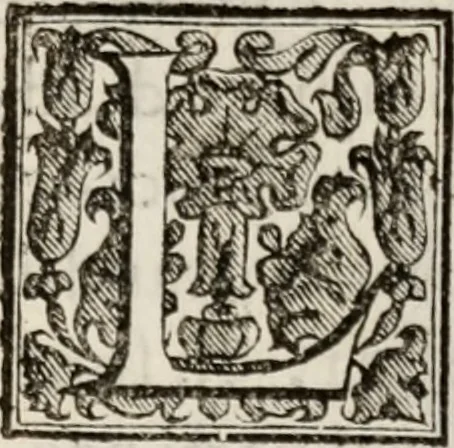 An illustration from Le glorie de gli incogniti : O vero gli hvomini illvstri della̓ccademia de ̓signori incogniti di venetia, 1647, leaf 328